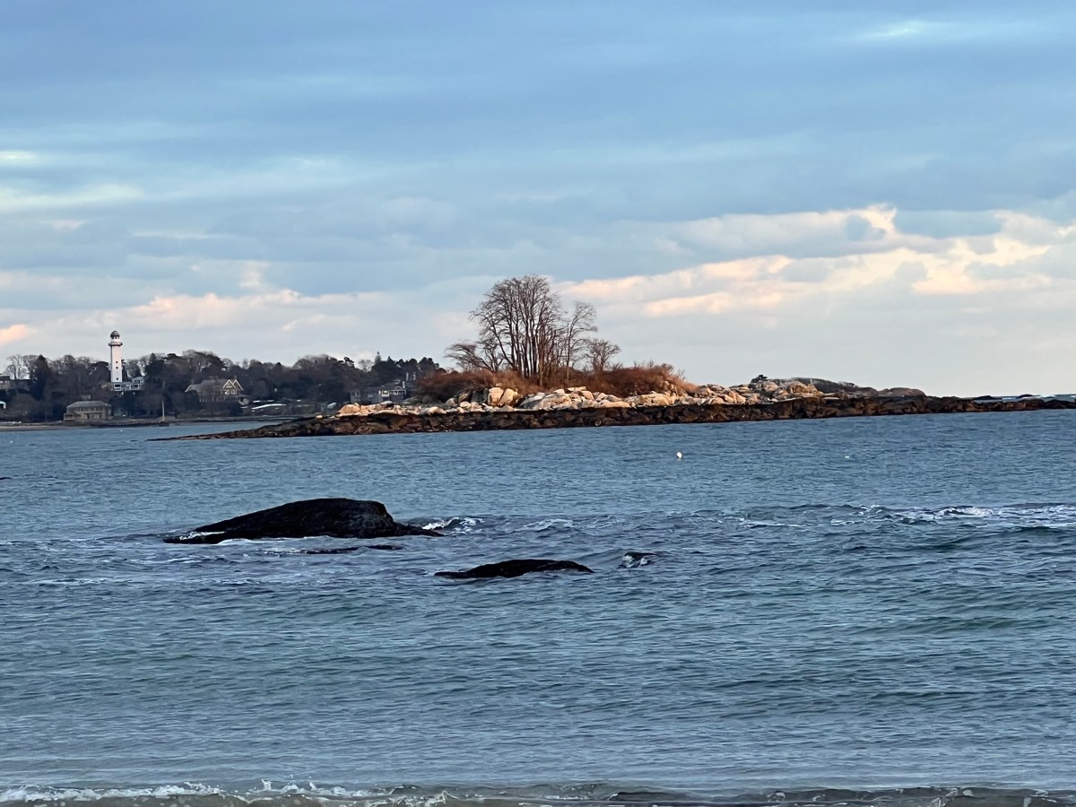 A Rainy Sunday Afternoon